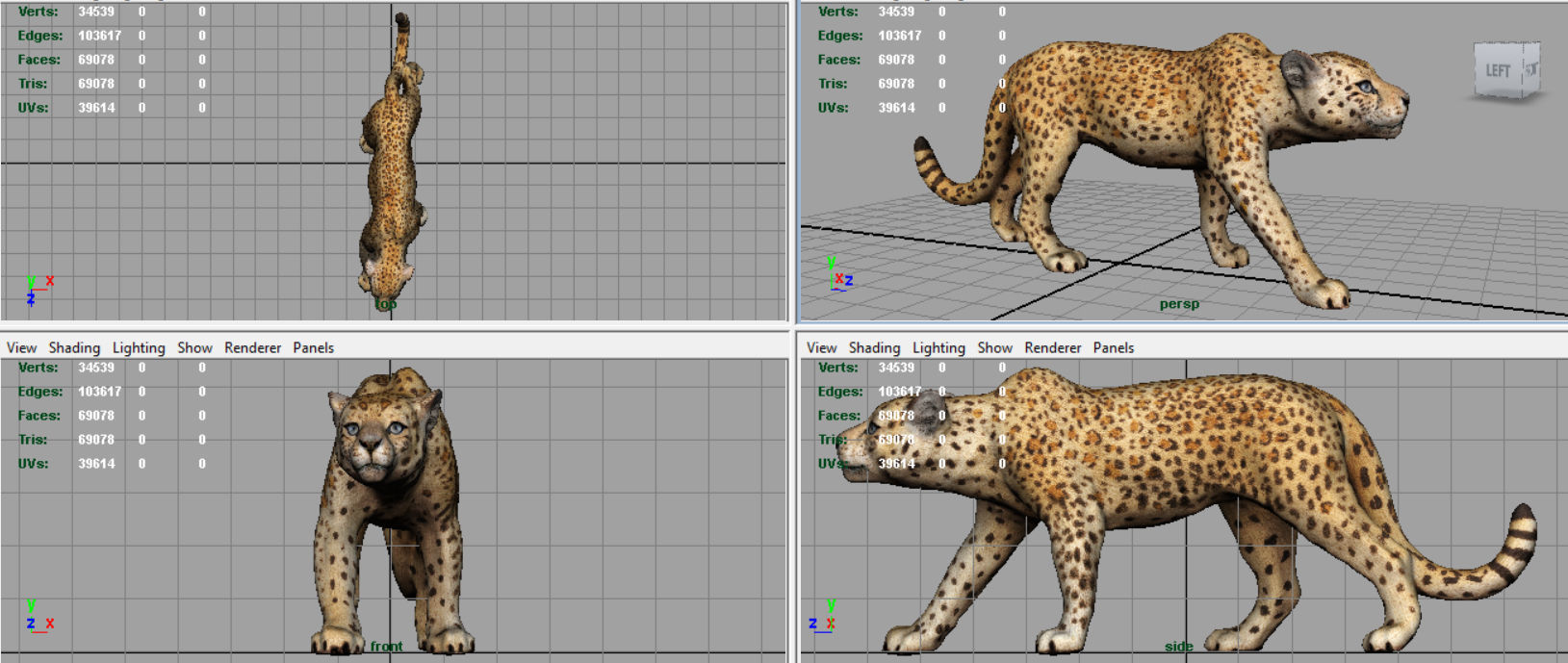 JAGUAR cheetah 3D model_6