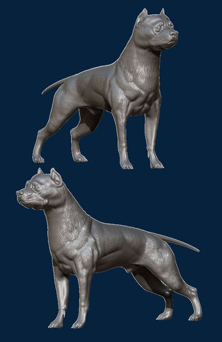 Pitbull 3D print model