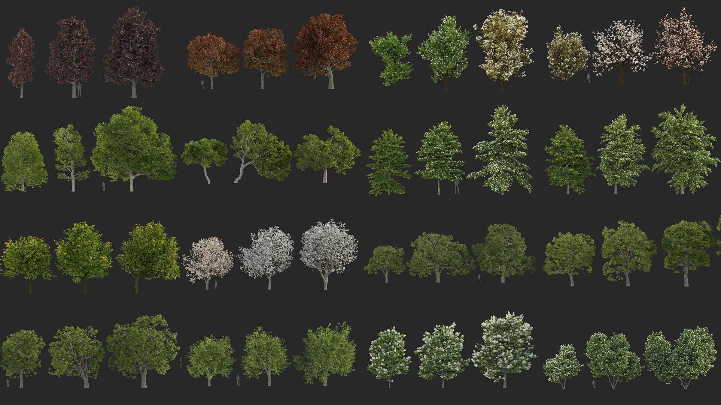 Large tree collection V2 3D model