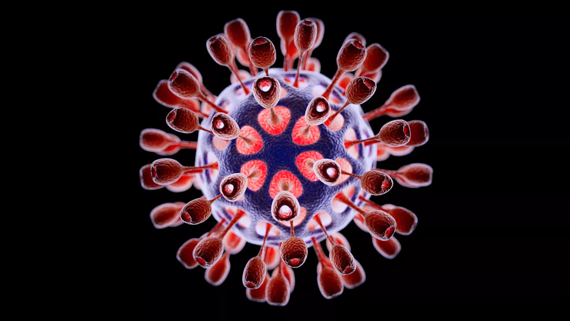 Light Virus 3D model