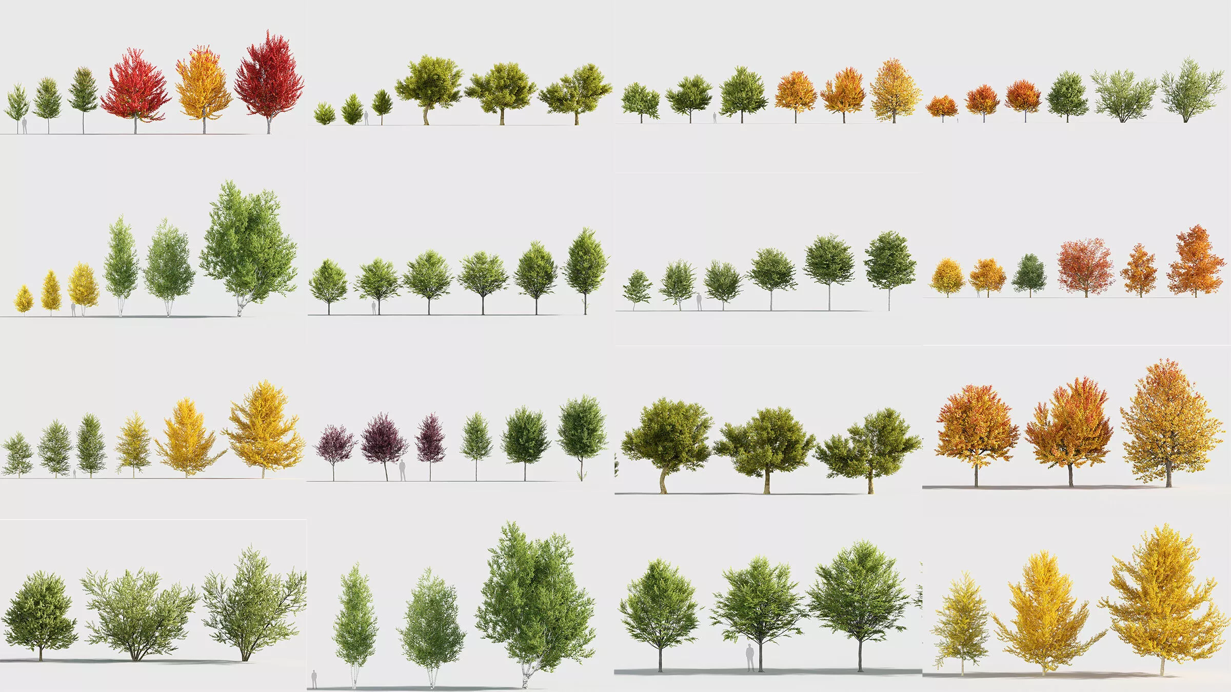 Autumn Tree Collection 3D model