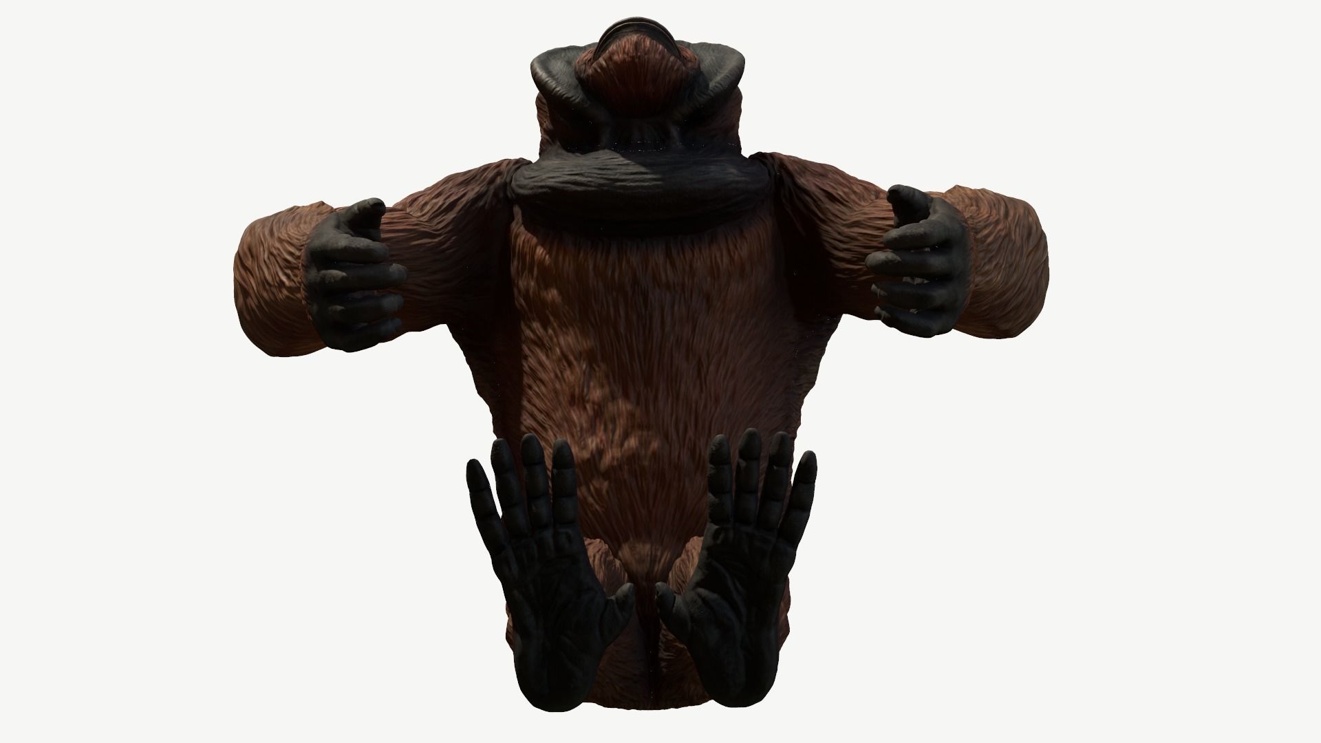 Bornean Orangutan Male Low-poly 3D model_10