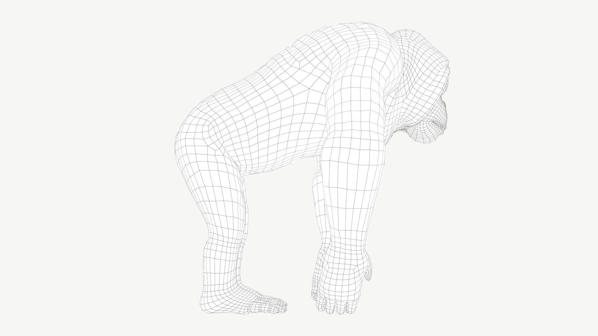 Bornean Orangutan Male Low-poly 3D model_3