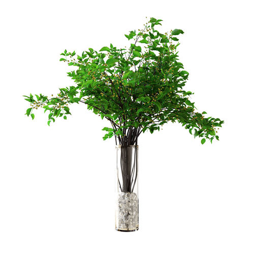 Green branches in glass vaze 3D model