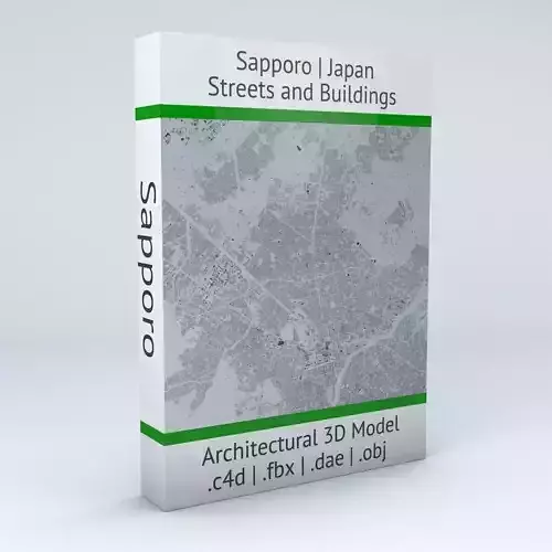 Sapporo Streets and Buildings 3D model