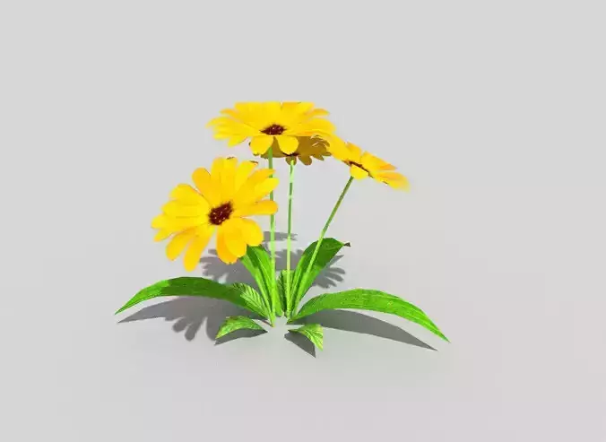 low poly flower daisies Low-poly 3D model