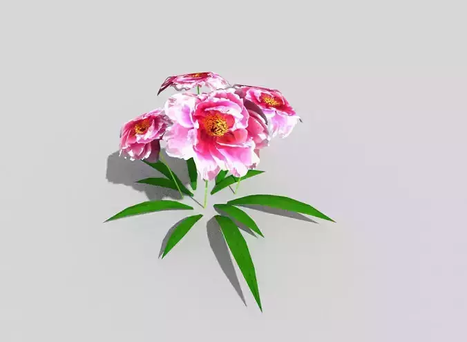 low poly flower peony