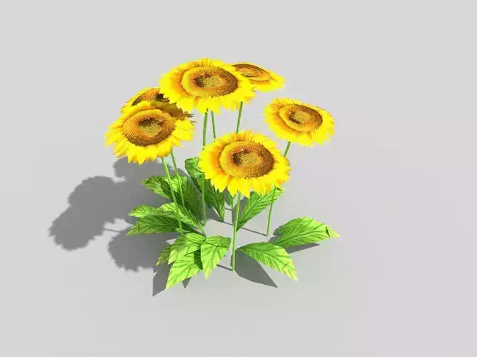 low poly flower sunflowers