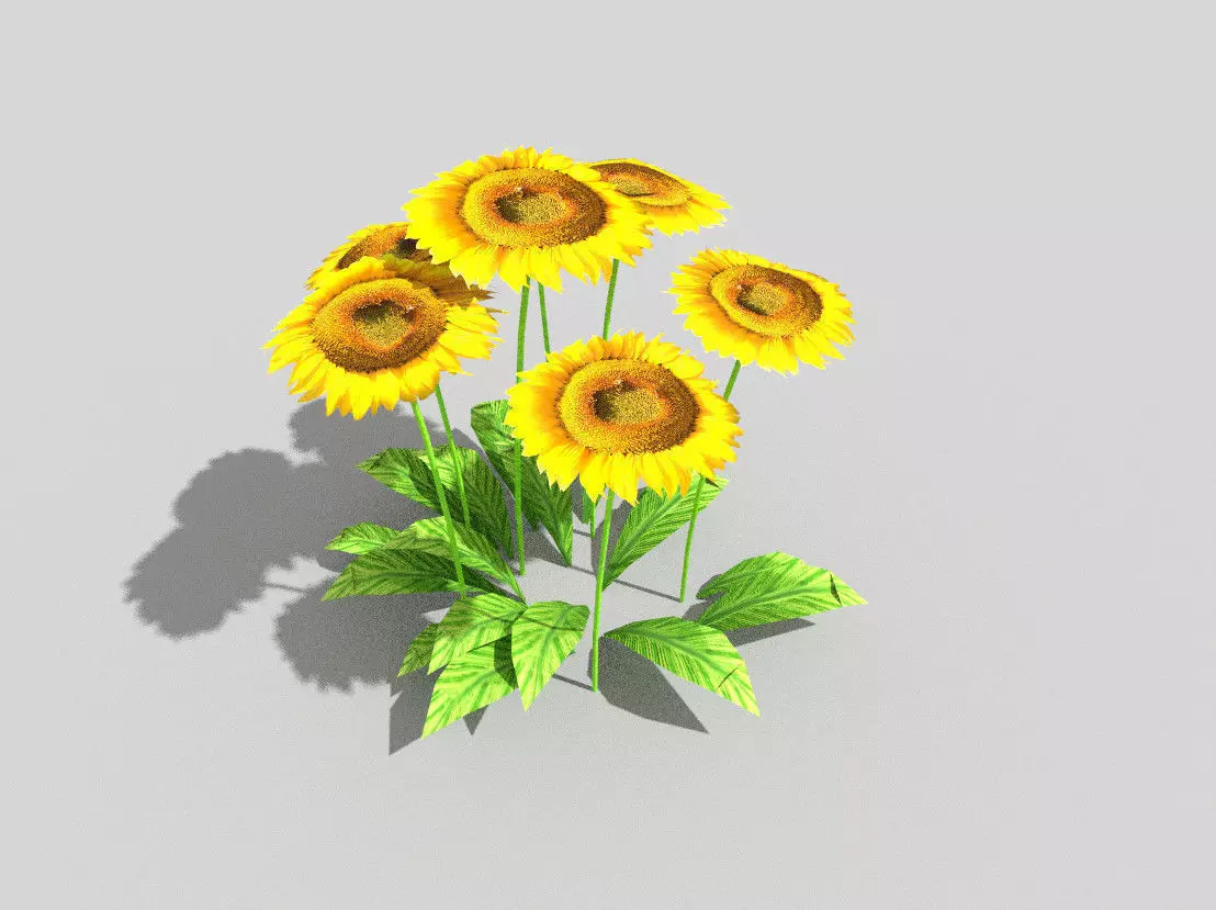 low poly flower sunflowers Low-poly 3D model