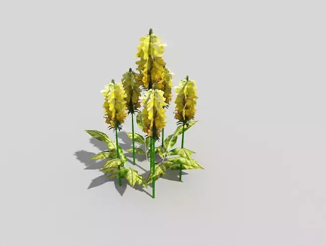 low poly flower sunflower