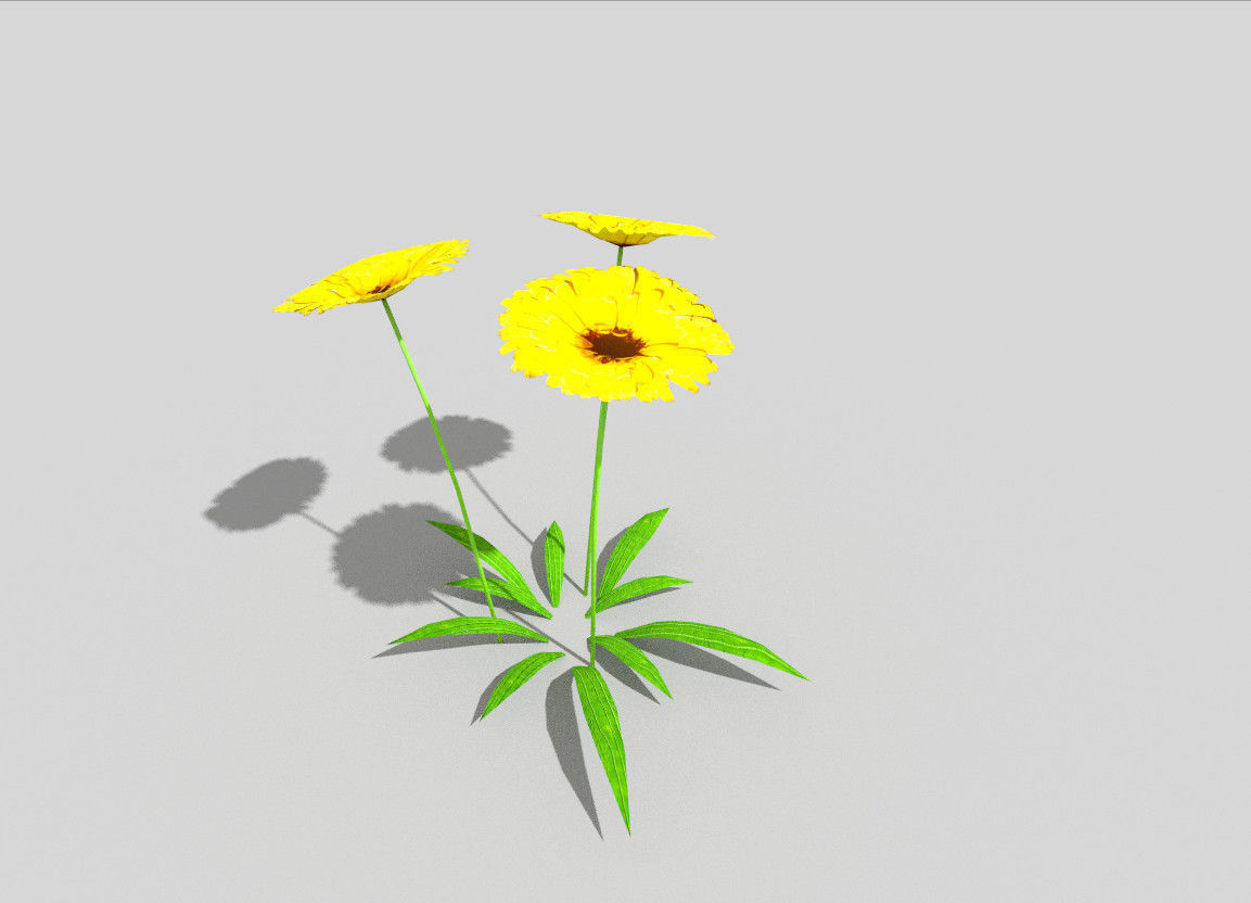 low poly flower three flowers Low-poly 3D model_1
