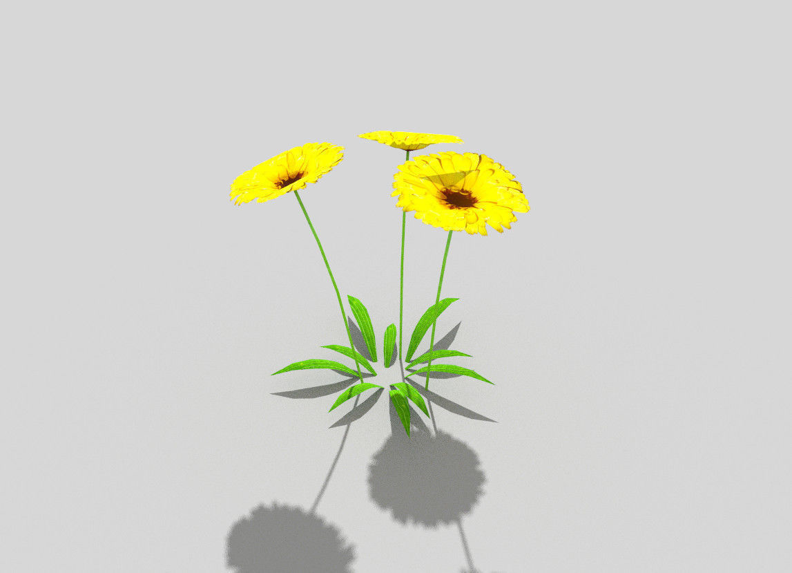 low poly flower three flowers Low-poly 3D model_2