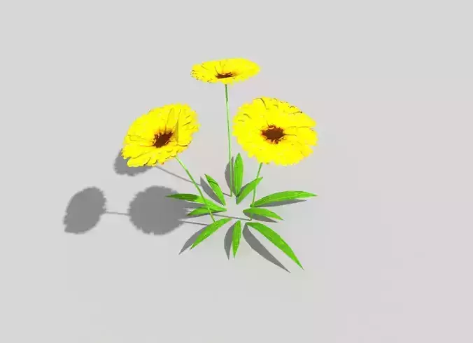 low poly flower three flowers