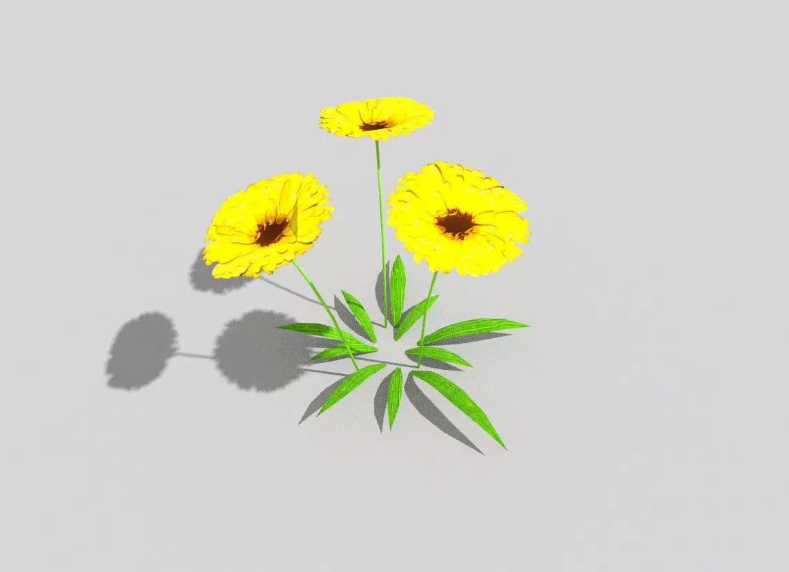 low poly flower three flowers Low-poly 3D model_0
