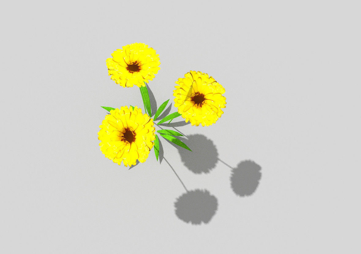 low poly flower three flowers Low-poly 3D model_4