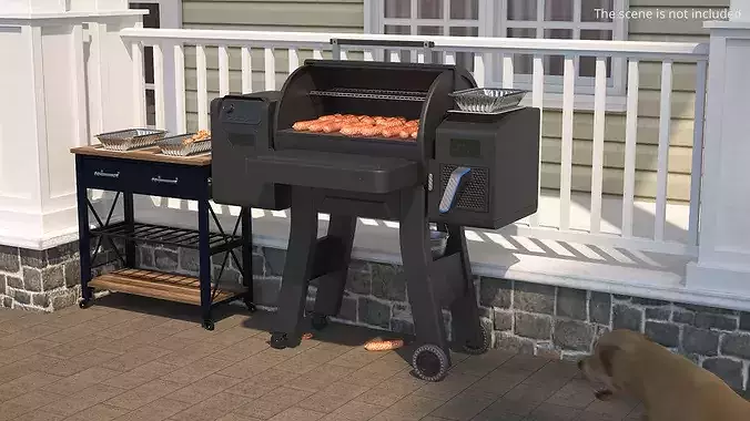 Multifunctional Pellet Grill Smoker with Sausages 3D model 2