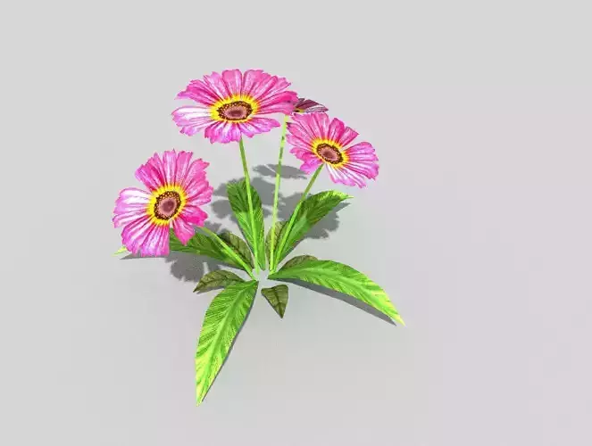 low poly flower gerbera daisy