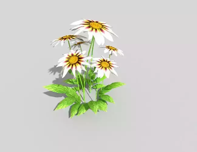 low poly flower daisies