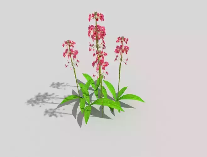 low poly flower plant with flowers
