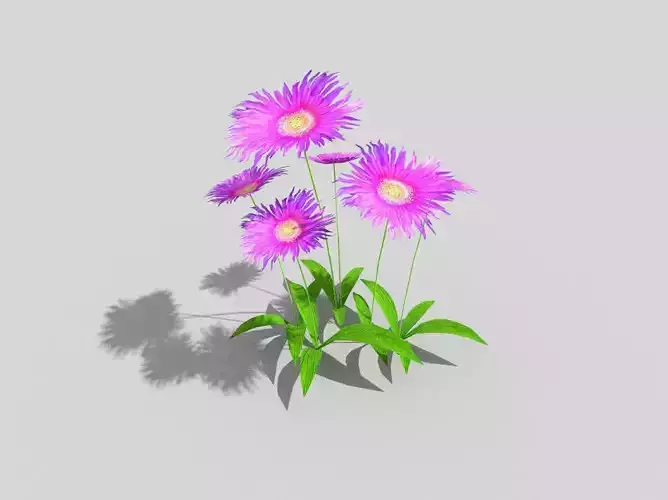 low poly flower daisy no