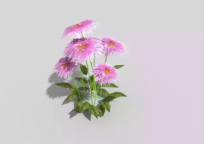 low poly flower daisies in vase Low-poly 3D model
