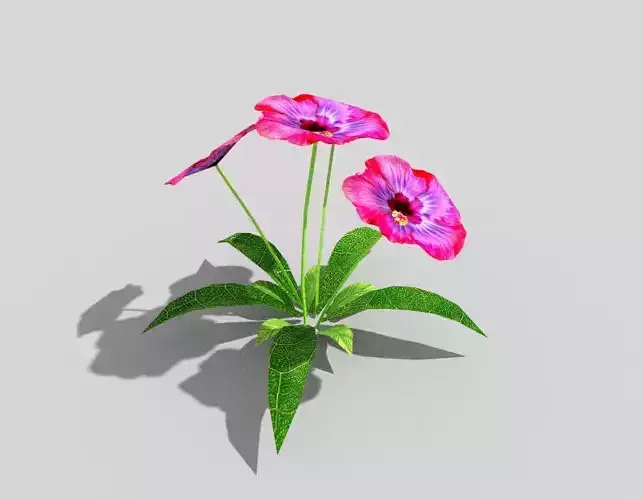low poly flower three flowers