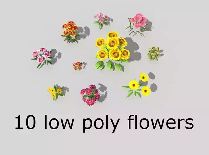 10 low poly flowers pack Low-poly 3D model
