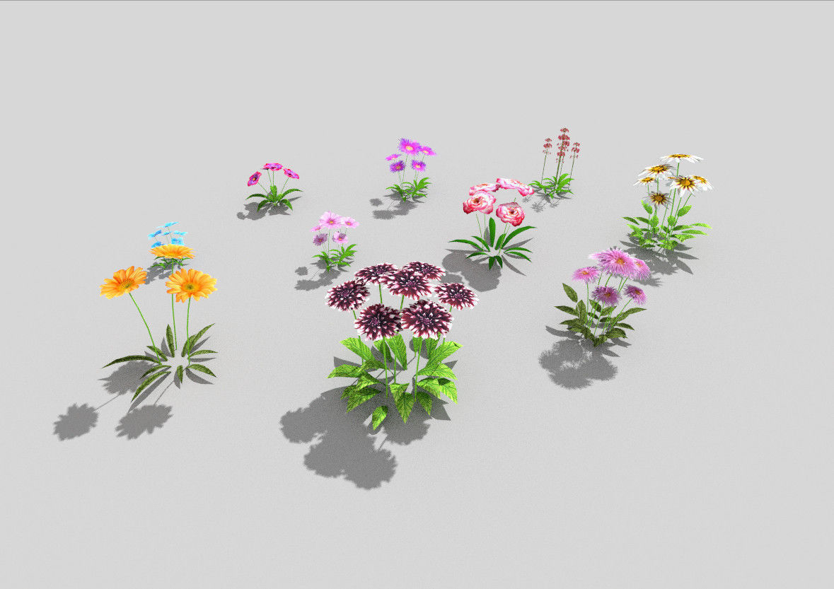 10 low poly flowers pack 2 Low-poly 3D model_3