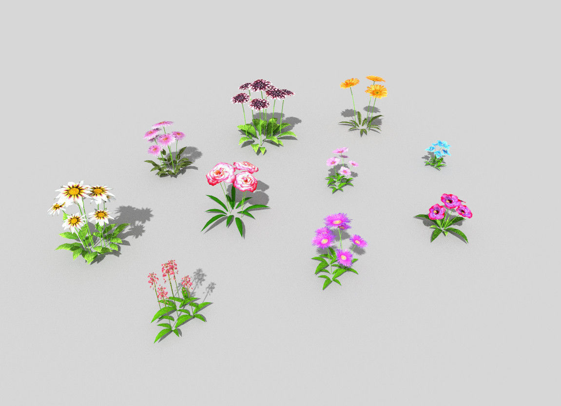 10 low poly flowers pack 2 Low-poly 3D model_1
