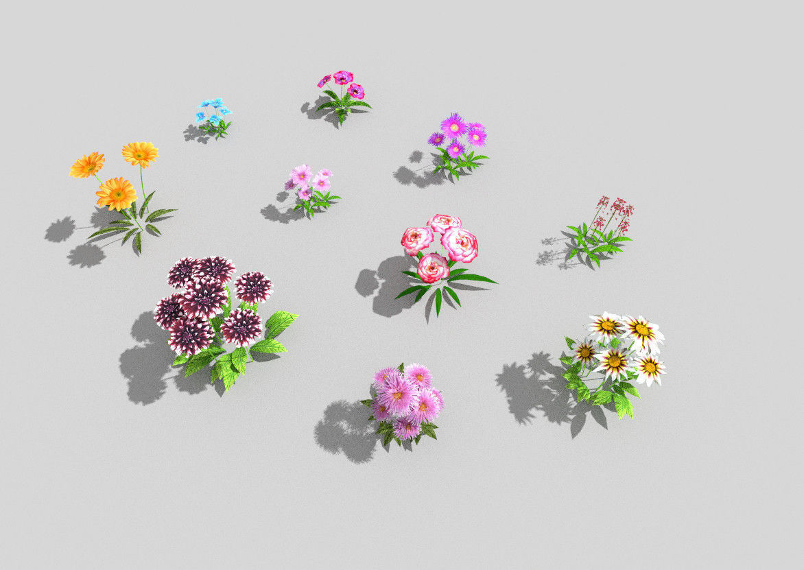 10 low poly flowers pack 2 Low-poly 3D model_2
