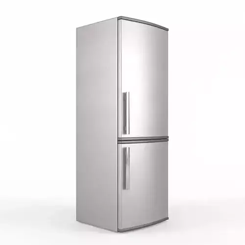 Modern Stainless Steel Fridge and Freezer
