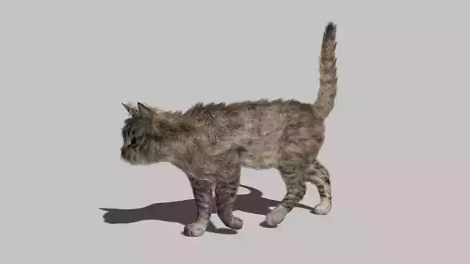 Cat - Rigged Animated Low-poly 3D model