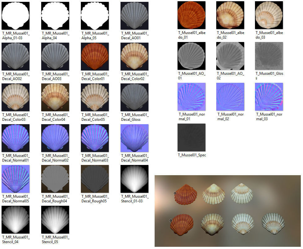 Mussel01 - 1k Triangles-Mesh and Decal Low-poly 3D model_3