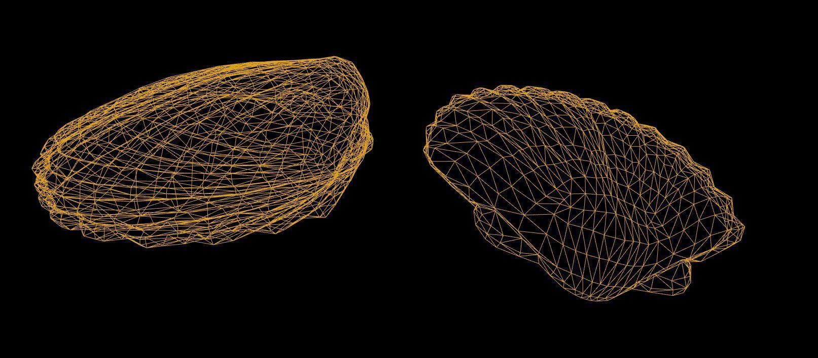 Mussel01 - 1k Triangles-Mesh and Decal Low-poly 3D model_2