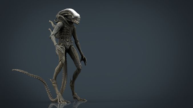 Alien Xenomorph 3D model