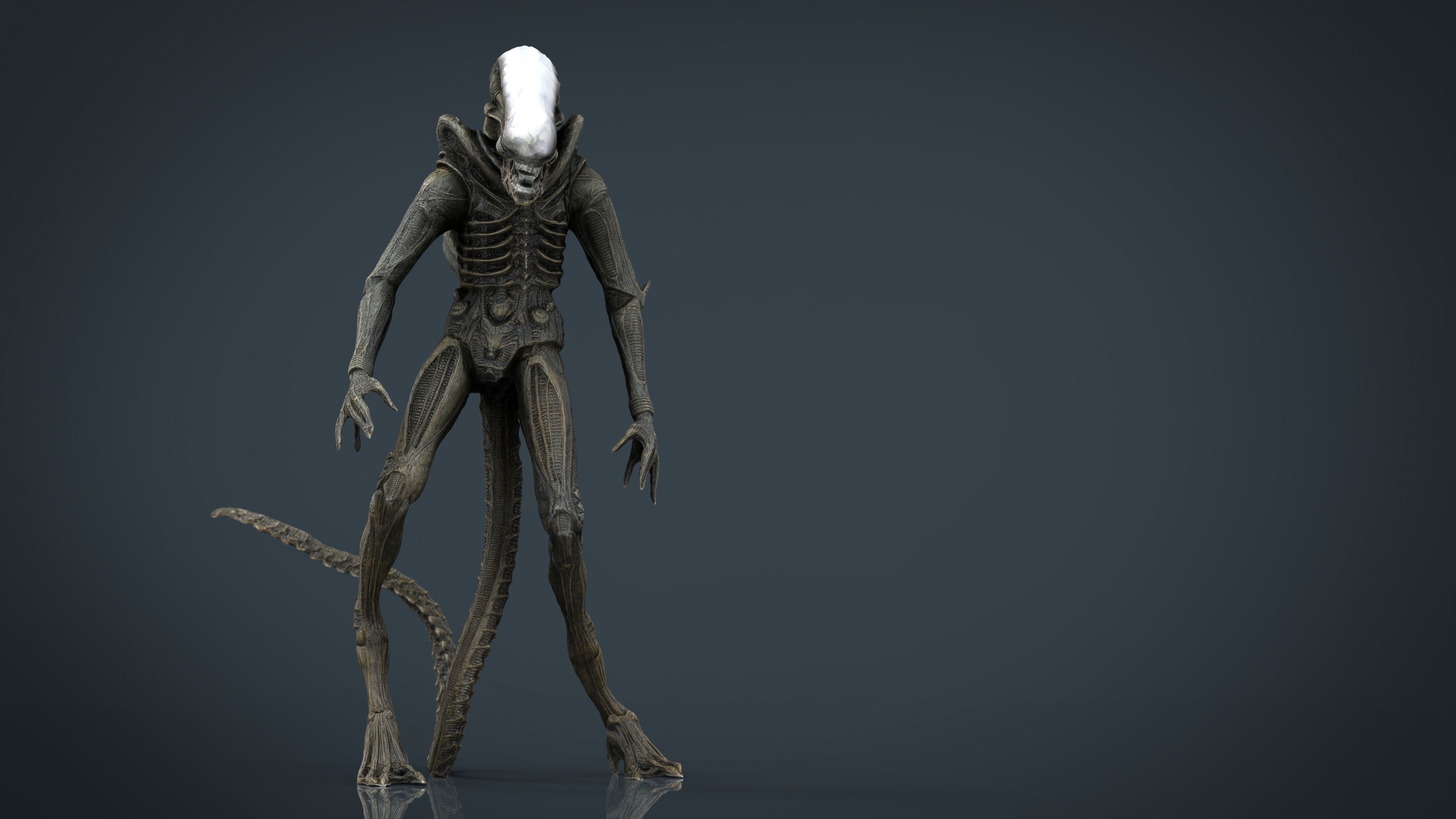 Alien Xenomorph 3D model_2