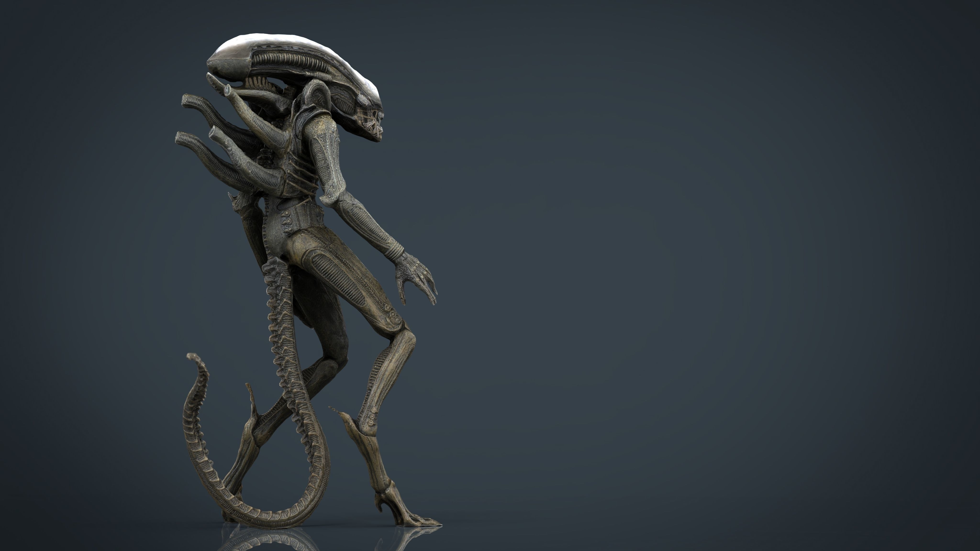 Alien Xenomorph 3D model_4