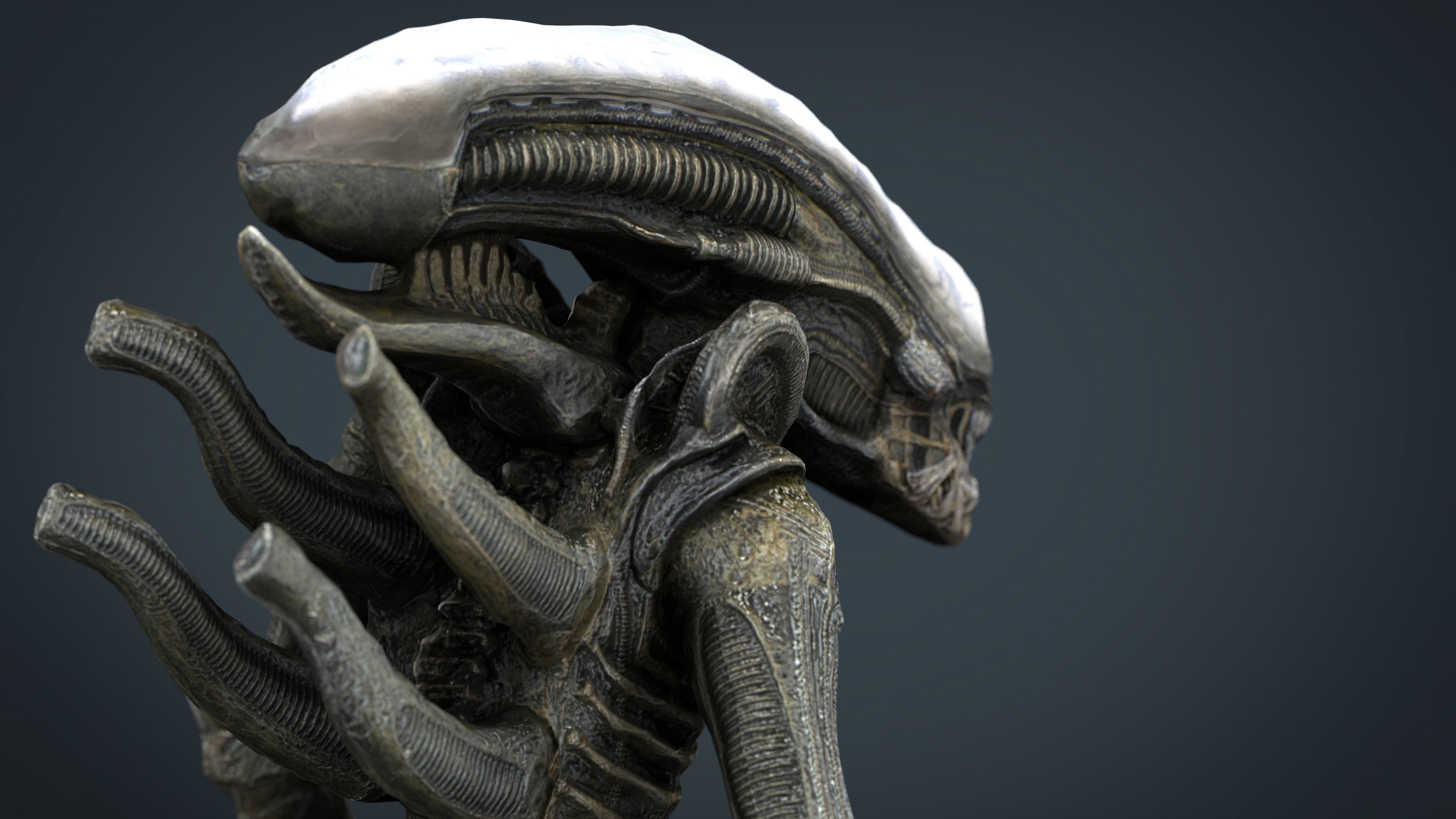 Alien Xenomorph 3D model_11