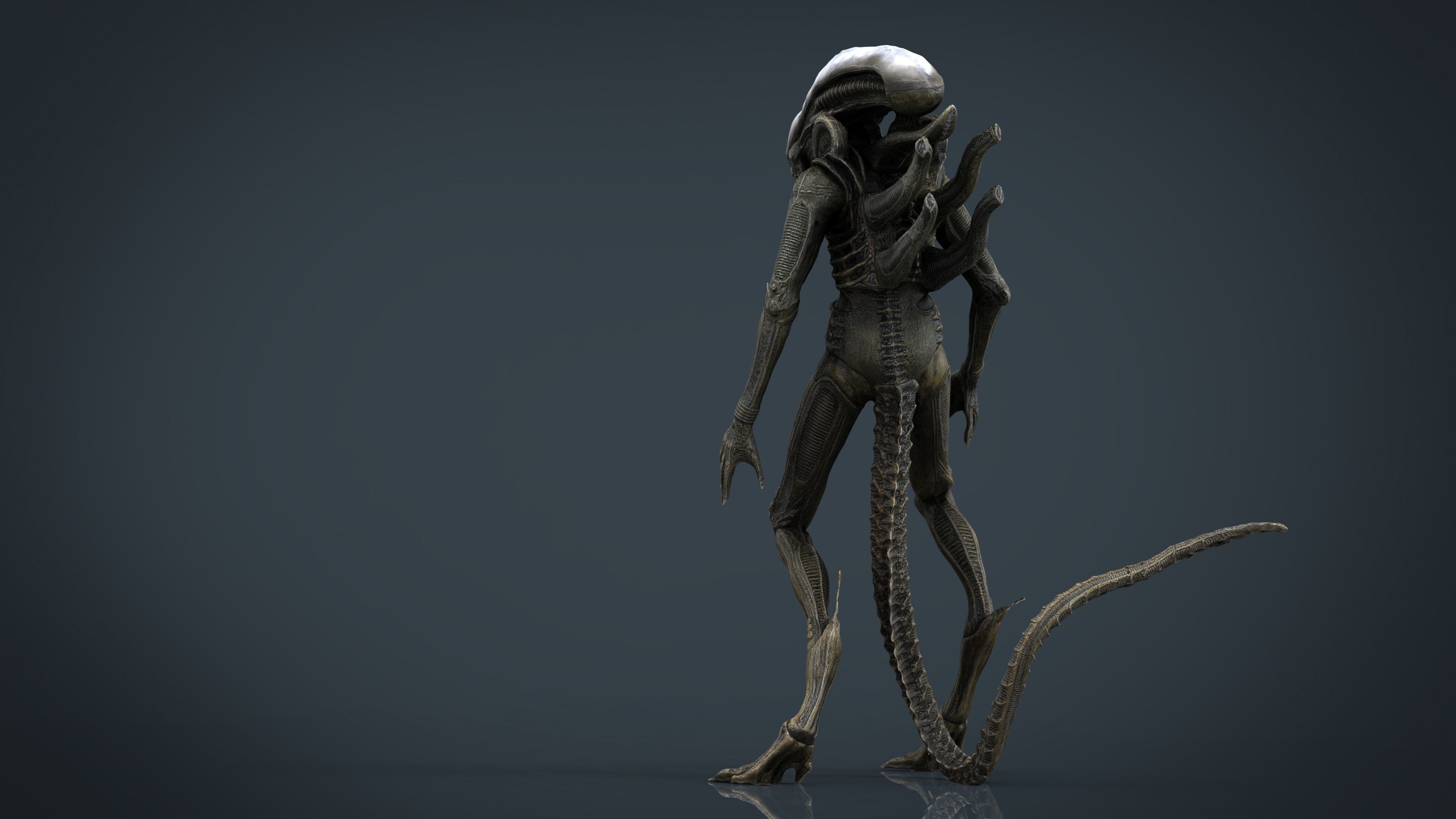 Alien Xenomorph 3D model_3