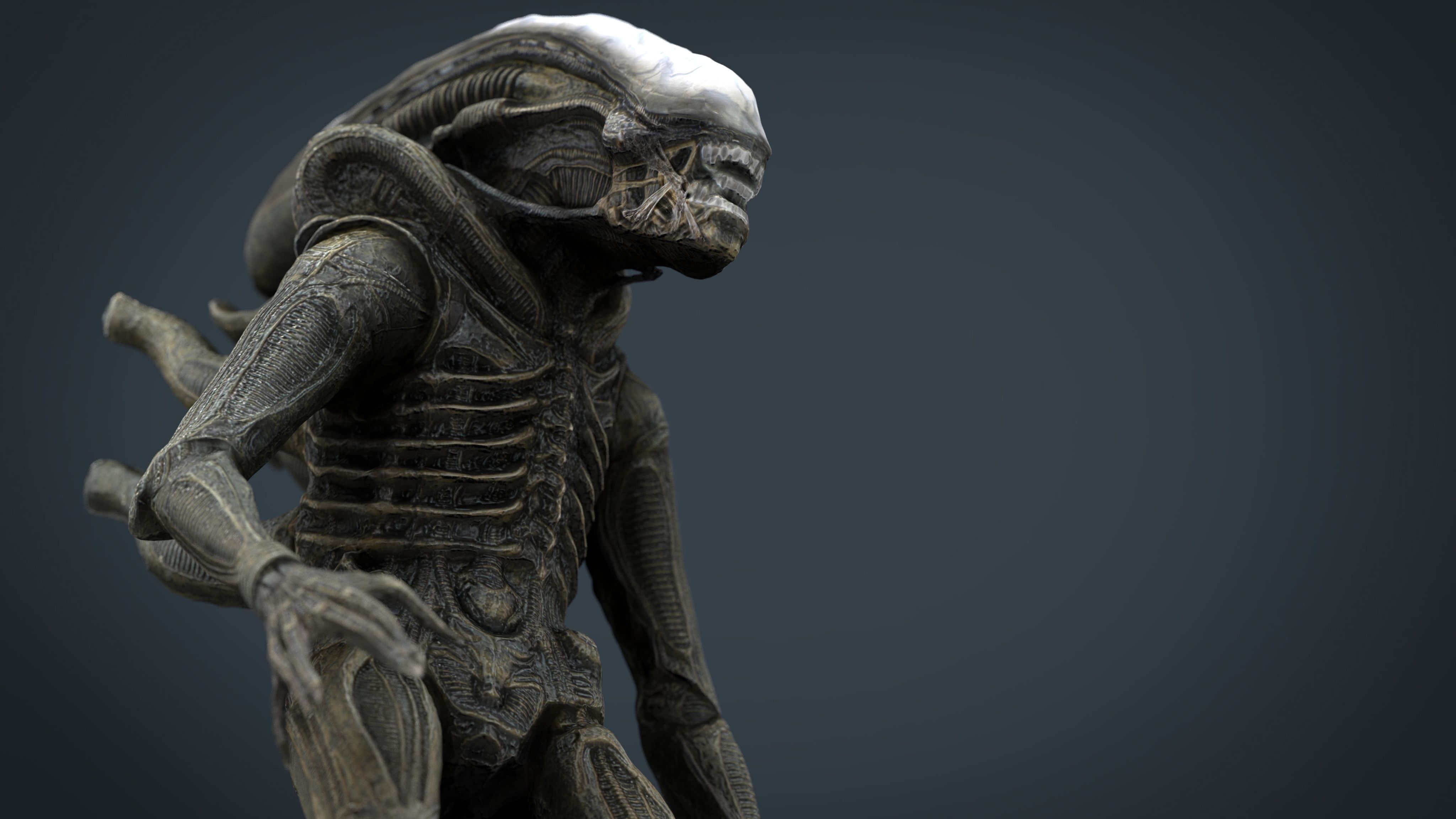 Alien Xenomorph 3D model_16