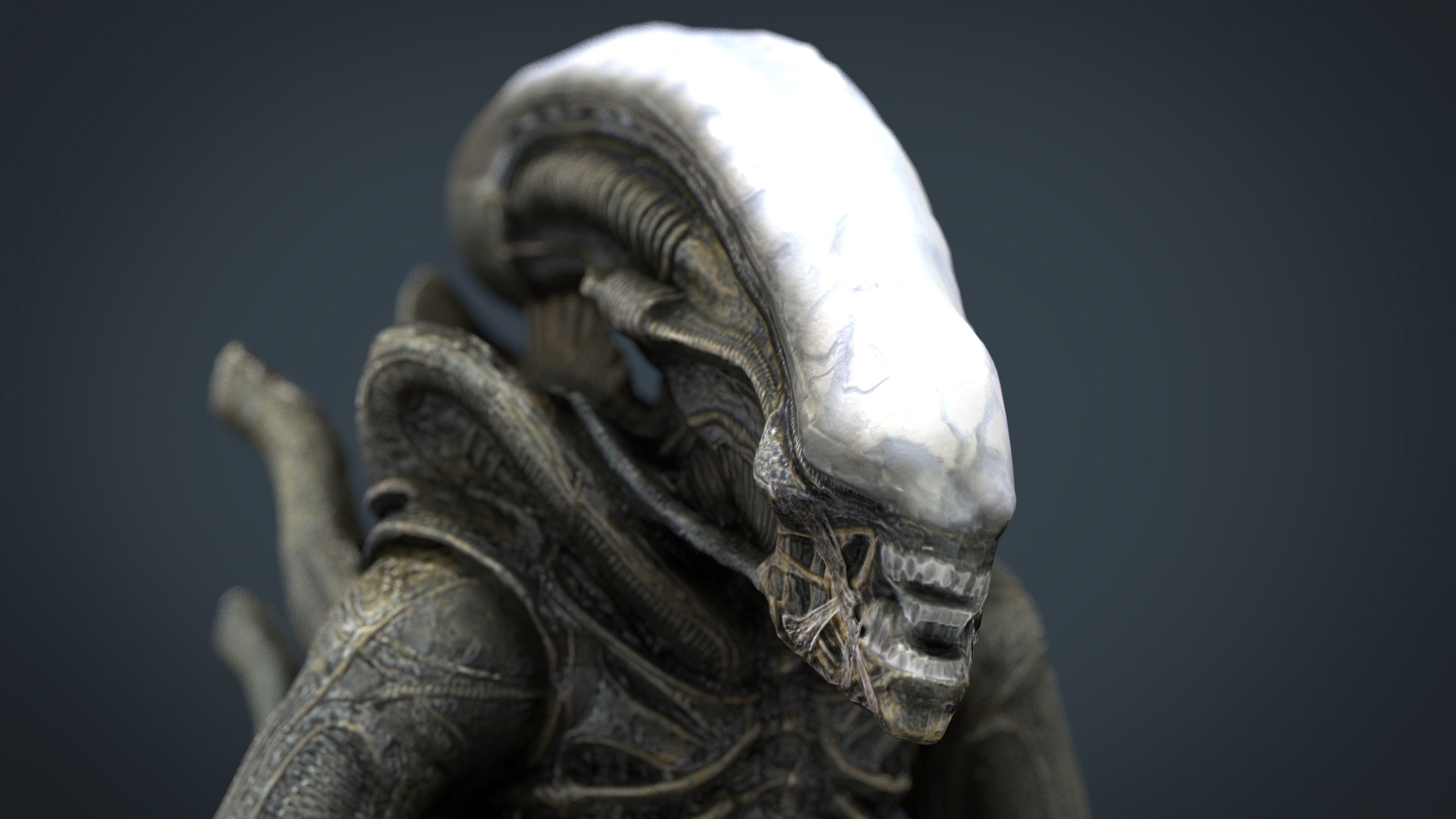 Alien Xenomorph 3D model_15