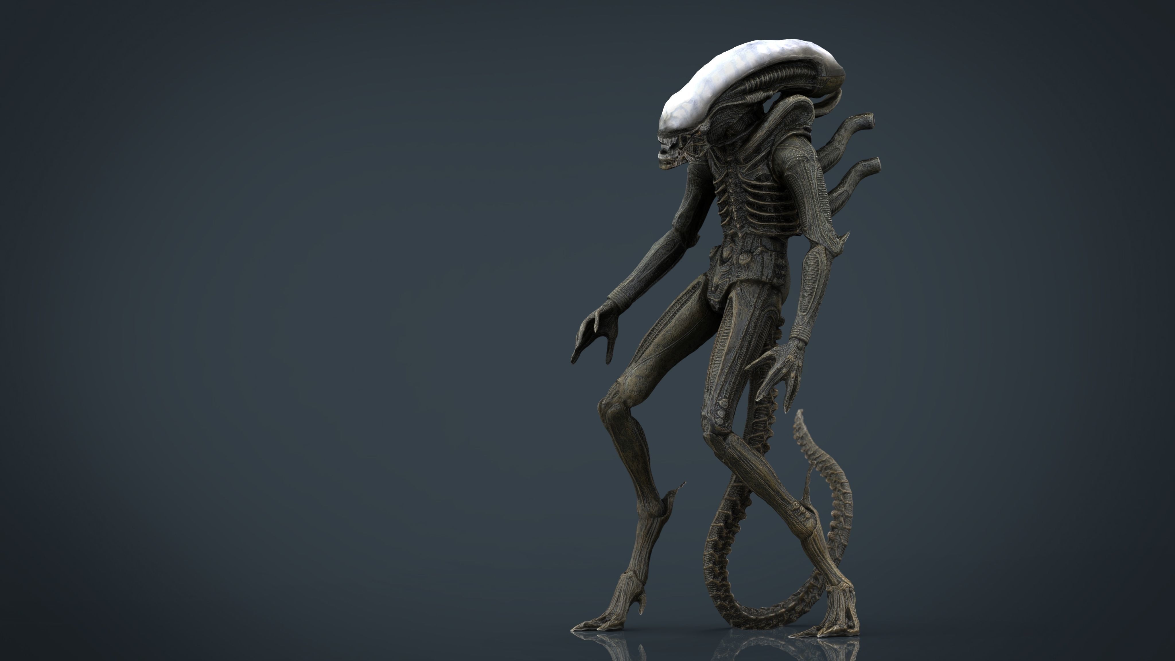 Alien Xenomorph 3D model_8