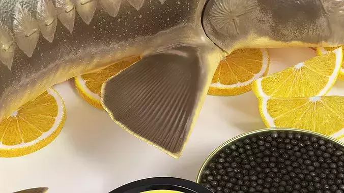 Caviar Plated Sturgeon Serving 3D model 5