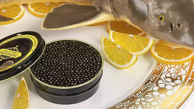 Caviar Plated Sturgeon Serving 3D model 4