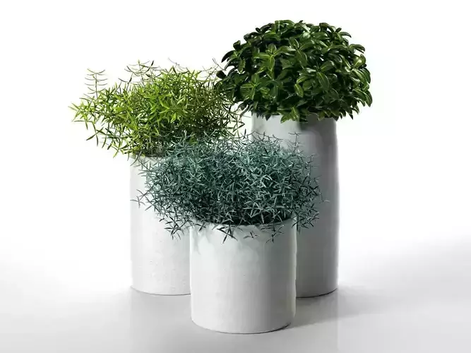 Bondi Pots with Plants