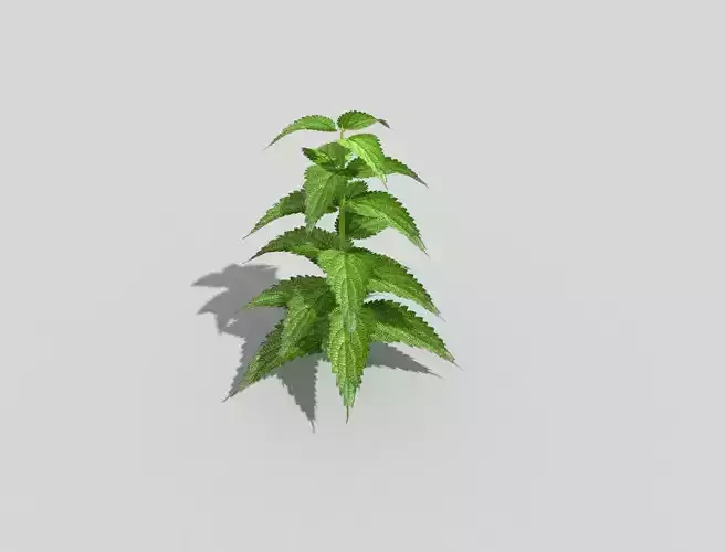 low poly ground plant Low-poly 3D model