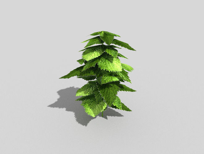 low poly ground plant Low-poly 3D model