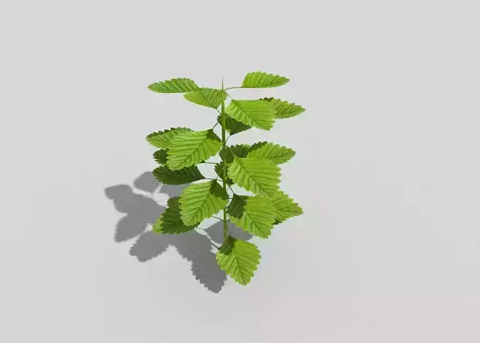low poly ground plant Low-poly 3D model