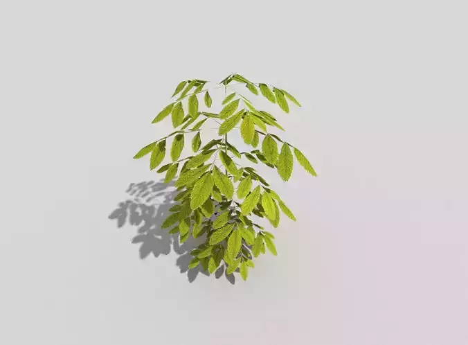 low poly ground plant Low-poly 3D model