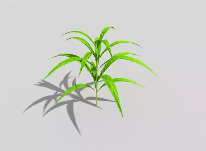 low poly ground plant